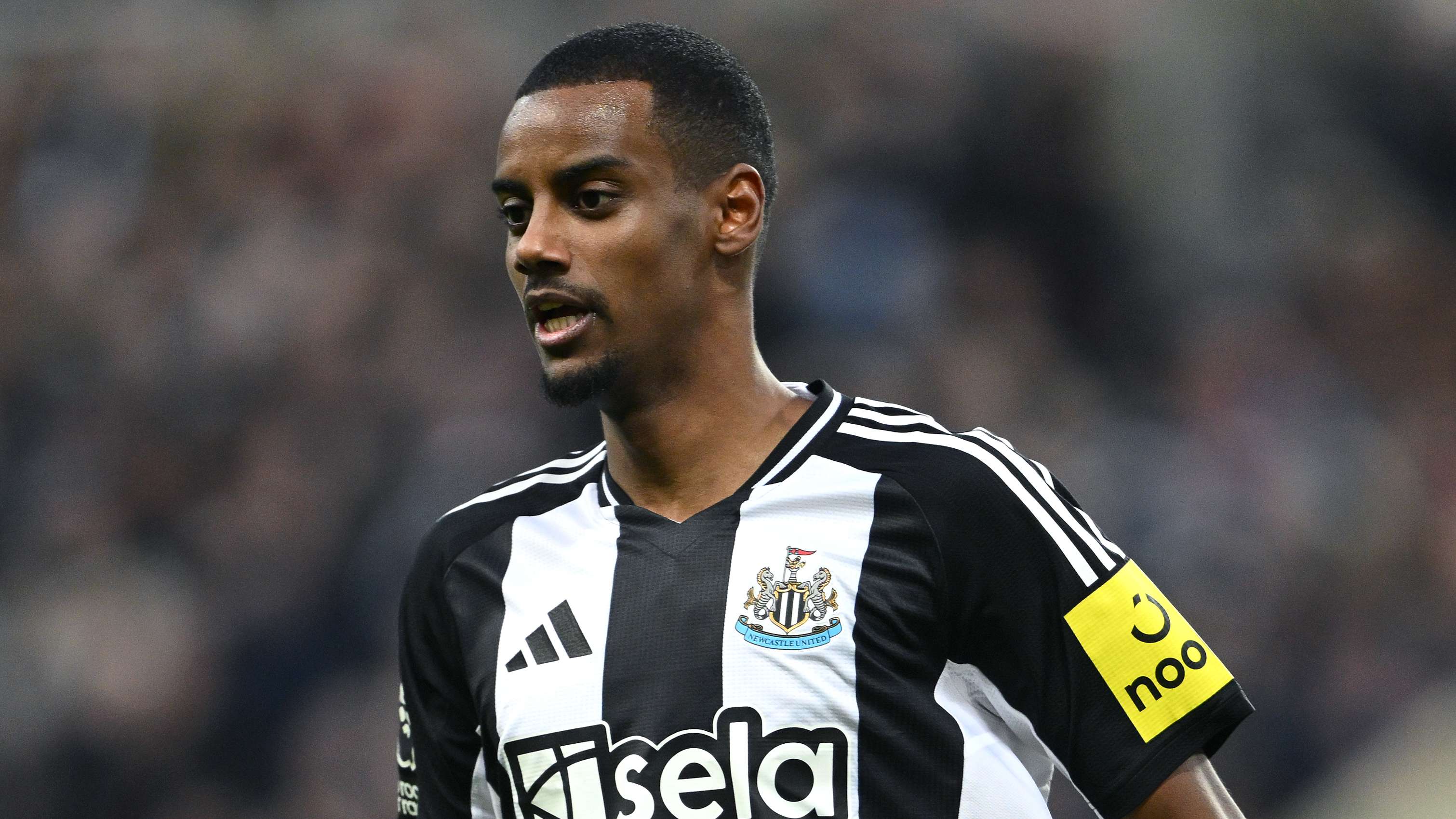 近年来在亚 近年来在亚