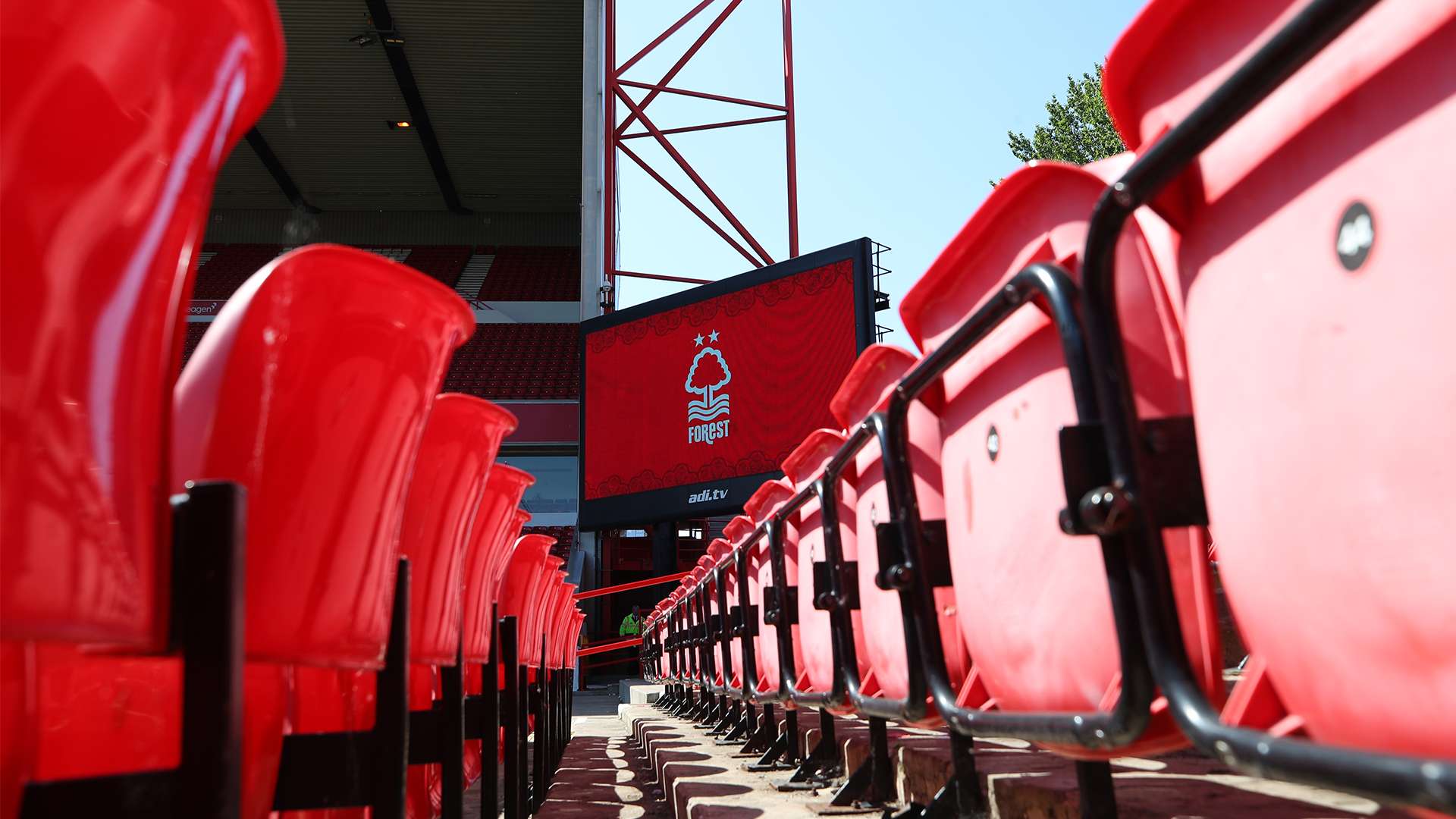 都充满了魅 都充满了魅